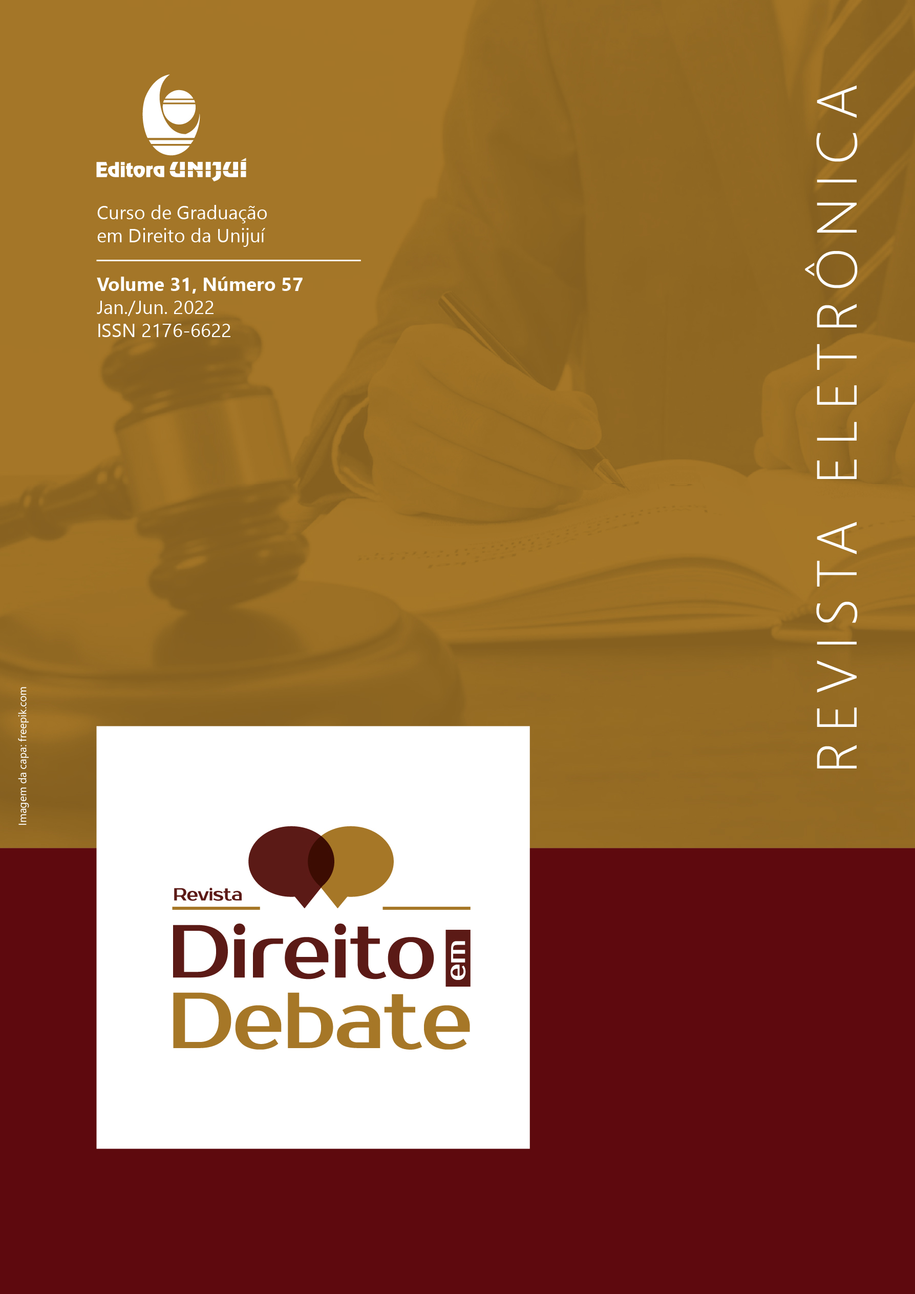 					Visualizar v. 31 n. 57 (2022): Direito em Debate
				