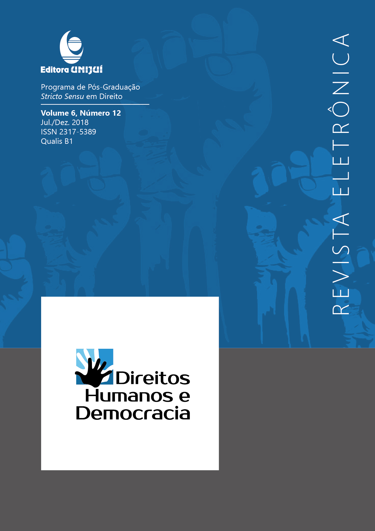 					Ver Vol. 6 Núm. 12 (2018): REVISTA DIREITOS HUMANOS E DEMOCRACIA
				